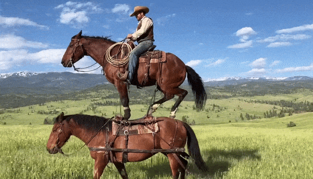 刚刚,OpenAI Sora 2重磅登场!首个APP上线,或将成为AI时代新TikTok-10.jpg 刚刚,OpenAI Sora 2重磅登场!首个APP上线,或将成为AI时代新TikTok-10.jpg