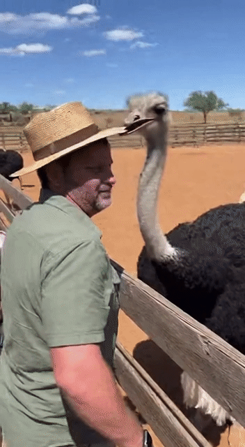 刚刚,OpenAI Sora 2重磅登场!首个APP上线,或将成为AI时代新TikTok-17.jpg 刚刚,OpenAI Sora 2重磅登场!首个APP上线,或将成为AI时代新TikTok-17.jpg